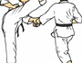Taekwondo